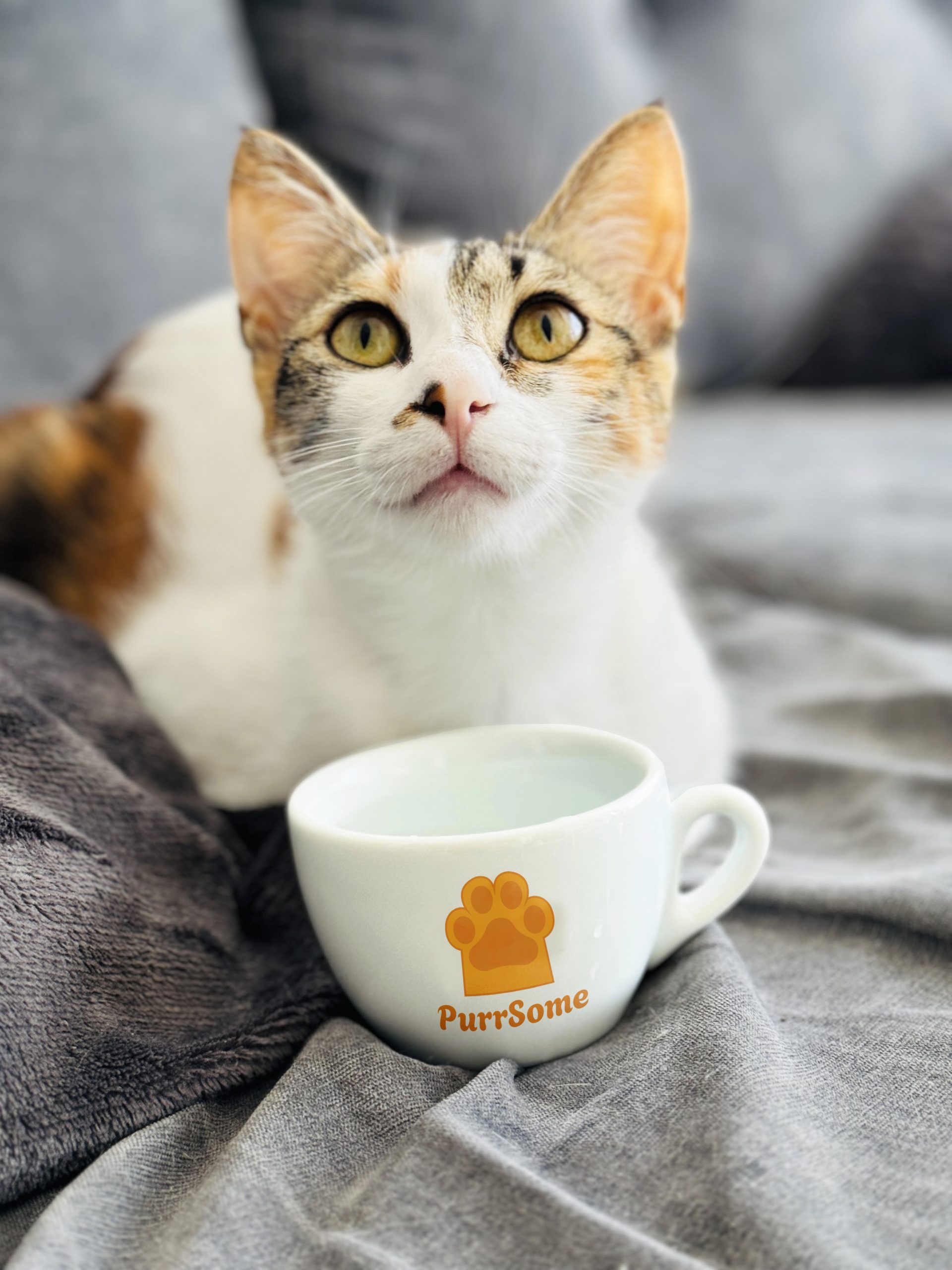 PurrSome котката Катрин